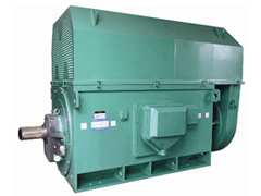 兴化Y系列6KV高压电机